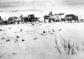 First road to Norilsk was horse-drawn