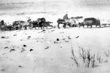 First road to Norilsk was horse-drawn