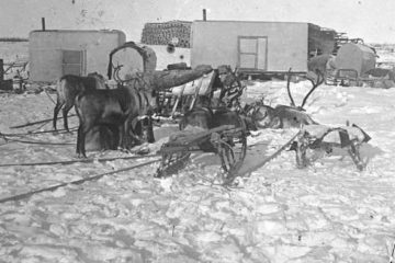 What regional press wrote about Norilsk century ago