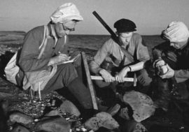 Taimyr in 1940s had to be new geological province Tungbass