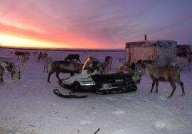 Disappeared Taimyr people