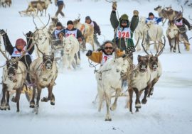 Taimyr reindeer herders competed at international championship