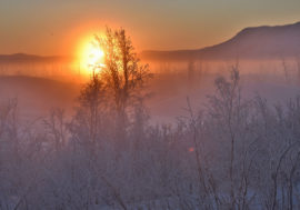Thrill-seekers go to Taimyr for beauty
