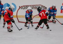 Russian Ice Hockey Federation and Nornickel develop sport together