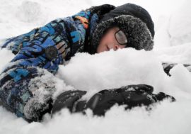 About one and half billion rubles to be sent to Arctic Children program
