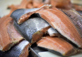 Siberian Federal University to conduct large-scale Arctic fish research