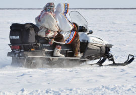 Taimyr prepares for Reindeer Breeder Day celebration