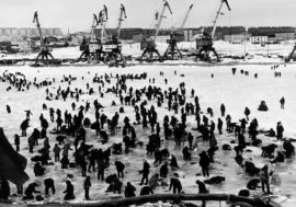Spring smelt fishing on Yenisey is old Taimyr tradition
