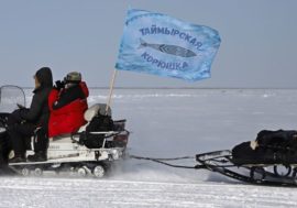 Taimyr smelt brought together ice fishing and national cuisine lovers