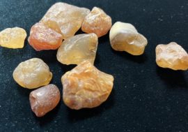 160 million years old amber found in Taimyr