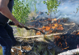 Zombie fires: expert spoke on Arctic fires features