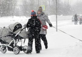 Russian Arctic population decreased by five percent in ten years