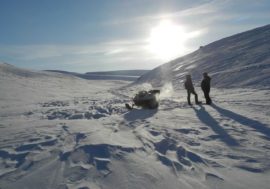Almost 90 companies organize tourism in Arctic protected natural lands