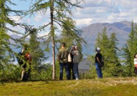 Scientists learned about climate changes from tree rings