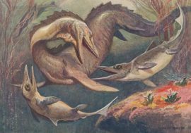 Scientists found ancient reptiles remains in Taimyr