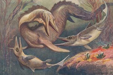 Scientists found ancient reptiles remains in Taimyr