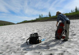 Federal institution to monitor permafrost