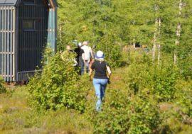 More free land for tourism projects to appear in Arctic