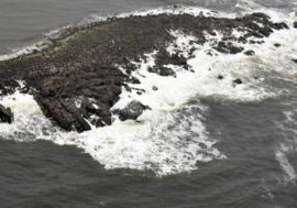 Russian hydrophysicists determined giant waves frequency in northern seas