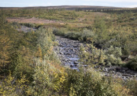 Microorganisms stabilize methane flows in Arctic and Antarctic