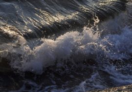 Oceanologists predict Gulf Stream change