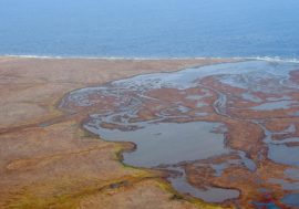 Arctic floating university explored Sopochnaya Karga сape in Taimyr