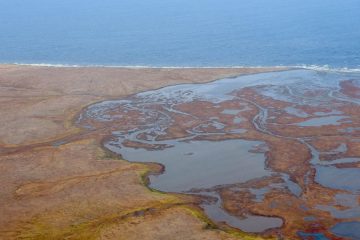 Arctic floating university explored Sopochnaya Karga сape in Taimyr