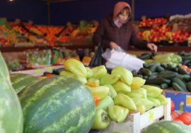 Scientific invention to help to grow crops without soil in Arctic