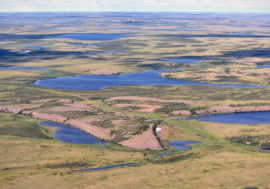 Abnormal heat predicted in Arctic