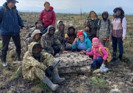 “Here, in the Arctic, everything breathes life”