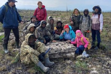 “Here, in the Arctic, everything breathes life”