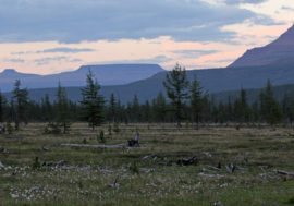Scientists explored Putorana plateau’s east part