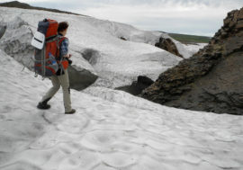 “Climate catastrophe on Earth is a great exaggeration”