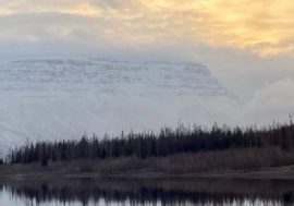 Taimyr Reserves employees told about living at cordons in polar night