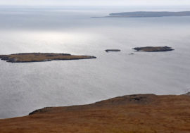 Russian expedition discovered new island