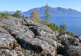 Taimyr tourism digital platform presented at media forum
