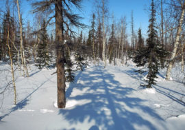 Winter in Norilsk takes its rights