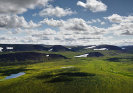 New ecosystems emerge in Arctic due to frequent rains