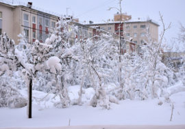 Rosatom and Nornickel signed cooperation agreement