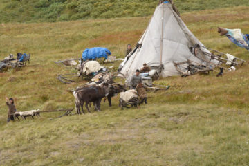 Nornickel to become main expert in partnerships with indigenous peoples