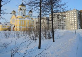 Unknown beetle discovered in Norilsk vicinity