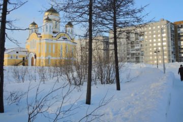Unknown beetle discovered in Norilsk vicinity