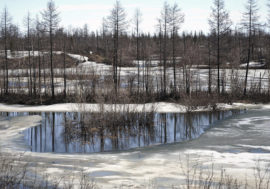 Russia to use new climate doctrine