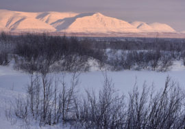 Arctic polluted by garbage currents