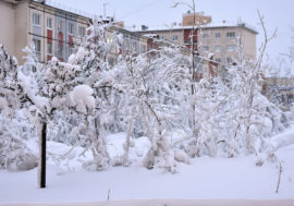 Norilsk leads in modernizing city infrastructure