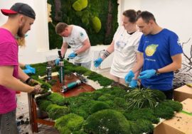 Eco-activists installed first phytowall in Norilsk