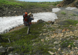 Tourist flow to Arctic and Far East increased by two million people