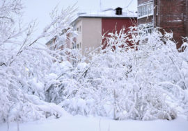 Frostbite in Arctic can be treated with stem cells