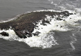 Scientists discovered anomalous waves at Taimyr coast