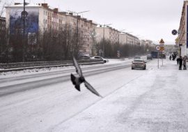 Experts rated news about Krasnoyarsk scientists’ successes